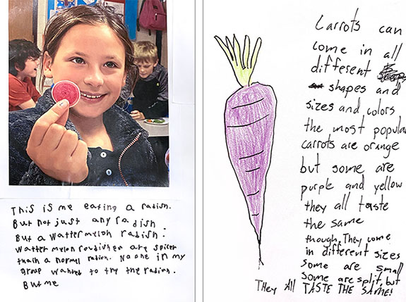 Left: Keira, grade four, reflection on watermelon radish. Right: A fourth-grade student's drawing and reflection on the purple carrot.