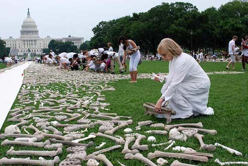 Nancy at the One Million Bones installation in 2013.