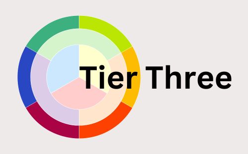 Curriculum Implementation Tier 3