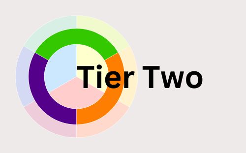 Curriculum Implementation Tier 2